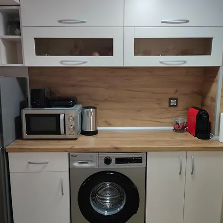 деси 布尔加斯